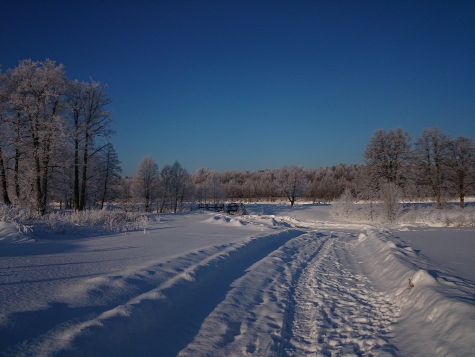 Landscape of the beautiful winter forest