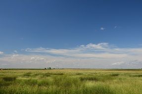 Cloudy landscape above the beautiful field
