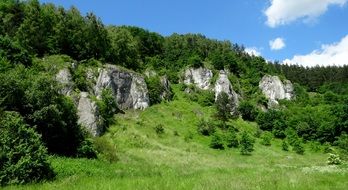 Landscape of green forest on a rocks in Poland