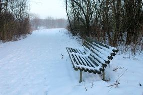 bench in the forest in the snow in winter