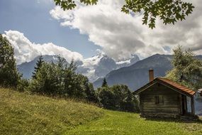 alpine hut on a green meadow