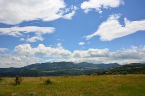 yellow-green grass on a background of mountains