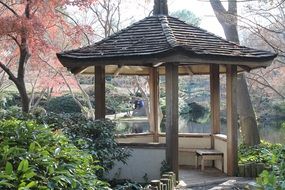 Beautiful Eastern garden in the spring