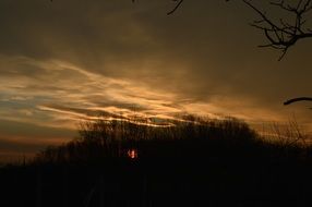 Winter sunrise behind forest