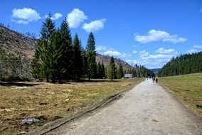 path in fields, mountain view