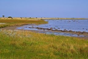 Denmark coast holiday