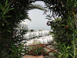 tropical plants Holidays resort view