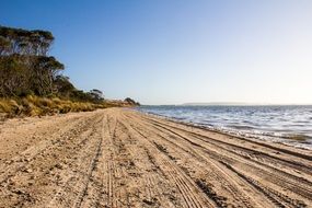 Sandy beach in Kangaroo Island