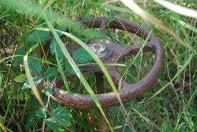 Rusty abandoned steering wheel