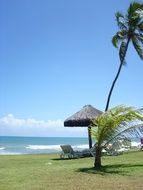 Tropical ocean beach in Brazil