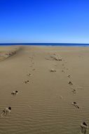 footprints on the sandy coast in Languedoc