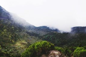 Fog Hill Valley Landscape