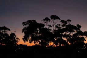 stunningly beautiful Morning Sunrise