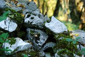 stones in green moss close up