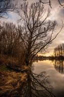quiet pond in the autumn forest