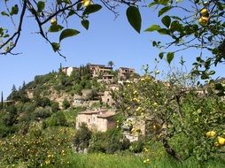 Village in Mallorca