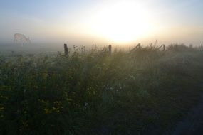 Landscape of bright sunrise over the paddock fence