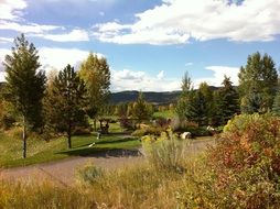 Aspen Colorado Landscape
