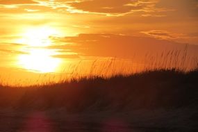 Landscape with beach sunset