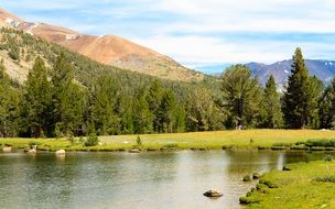 conifers around a mountain lake