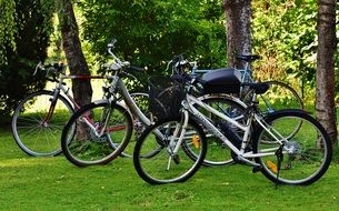 three bicycles on green grass in the park