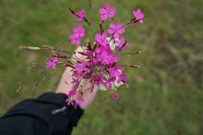 Flowers Bouquet in hand