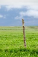 Fence with Barbed Wire in field