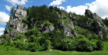 green plants on Rocks Dolina KobylaÅska Landscape