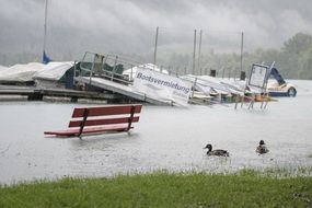 flood after rain