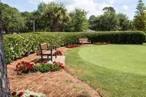 well-groomed territory of the Park with benches