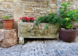 potted flowers at stone wall outdoor