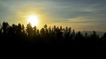 Beautiful trees under colorful sunset in sky