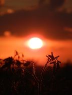 quite mood of nature at sunset