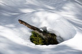 green island in the midst of white deep snow