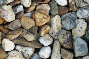 A lot of stones in nature