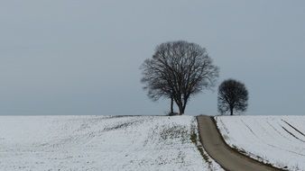 road through a winter field