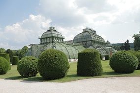 Green botanical garden in the summer
