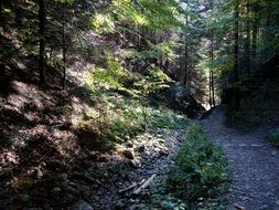 hiking trail in Pieniny