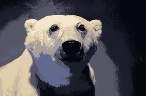 polar bear in the arctic