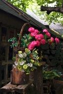 colorful flowers in baskets around the house