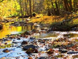Babbling Creek