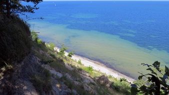 trees on the shore of the Baltic Sea