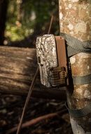 camera for observations in wildlife