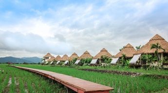 Blue Ridge Mountain in Chiang Mai in Thailand