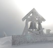 extraordinary Snow bell