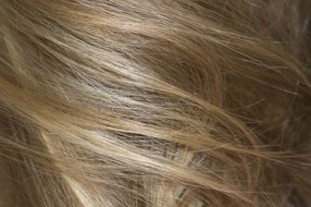 blonde Hair closeup