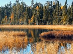 landscape of Marsh pond in autumn