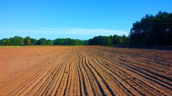 Province Landscape, podlasie voivodship