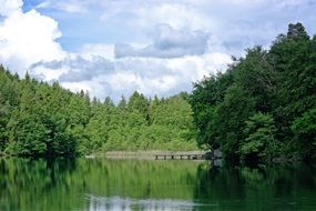 lake among green forest on a sunny day