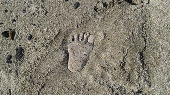 Walking Footprint